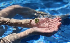 小红输了被小明整1000字